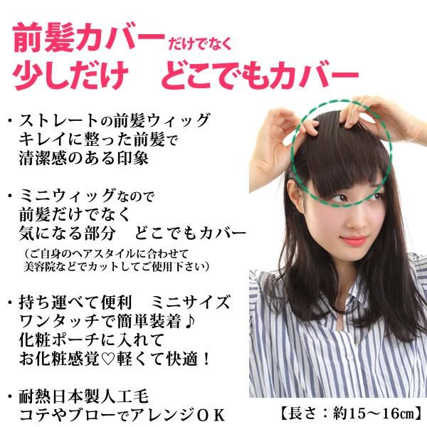 ウィッグ 前髪 前髪ウィッグ ヘアピース かつら 部分ウィッグ つむじカバー ミニウィッグ 白髪かくし F5 Ssize F5 Ssize ウイッグwig ルネス 通販 Yahoo ショッピング