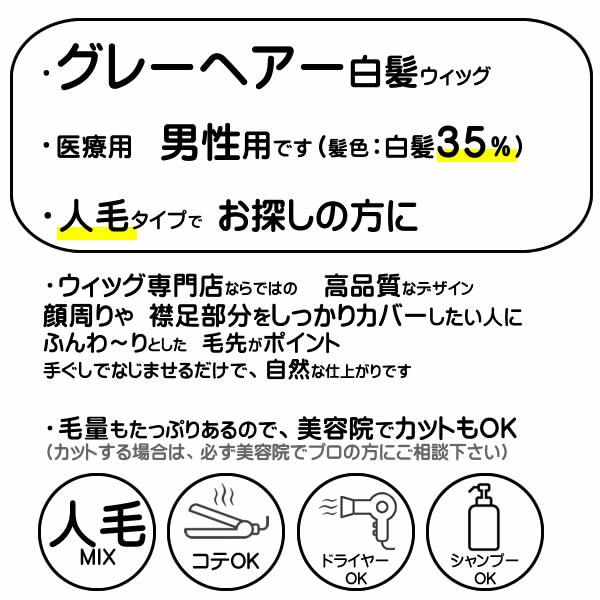 ウィッグ しらが 白髪 医療用 男性 かつら 医療用ウィッグ 送料無料
