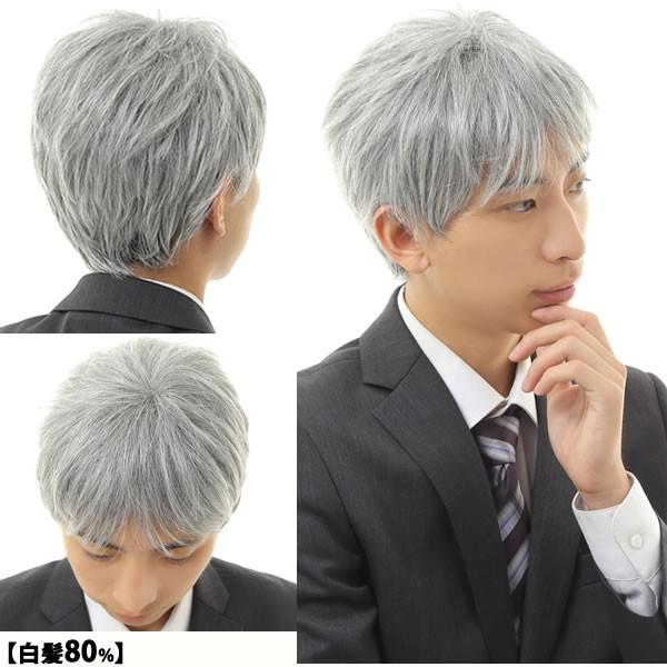 ウィッグ しらが 白髪 医療用 男性 かつら 医療用ウィッグ 送料無料 フルウィッグ オールウィッグ 抗がん剤治療 Hm172set Hm172set ウイッグwig ルネス 通販 Yahoo ショッピング
