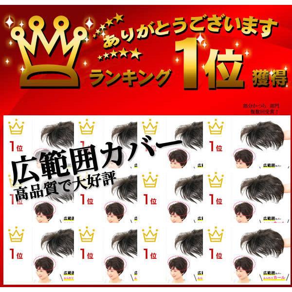 部分 ウィッグ ミセス 自然 薄毛 脱毛症 白髪隠し 増毛 分け目 部分 ウィッグ ミセス 自然 薄毛 脱毛症 白髪隠し 増毛 分け目