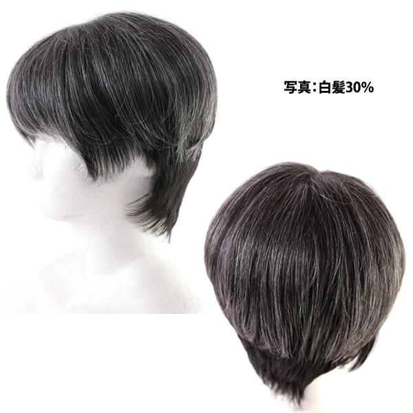 ウィッグ　ヘアピース　男性用　部分ウィッグ　かつら　送料無料 ストレート 白髪 グレーヘアー 総手植え 薄毛カバー 薄毛隠し km1 ウィッグ ヘアピース 男性用 部分ウィッグ かつら 送料無料 ストレート
