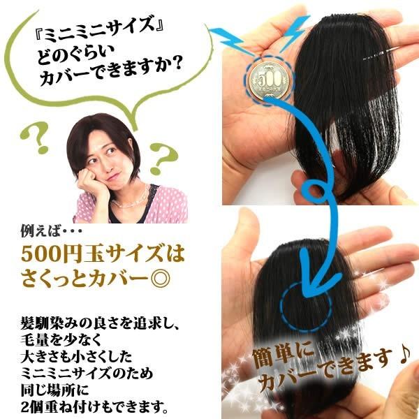 ウィッグ ヘアピース 人毛100％ 円形脱毛症 部分ウィッグ かつら 送料