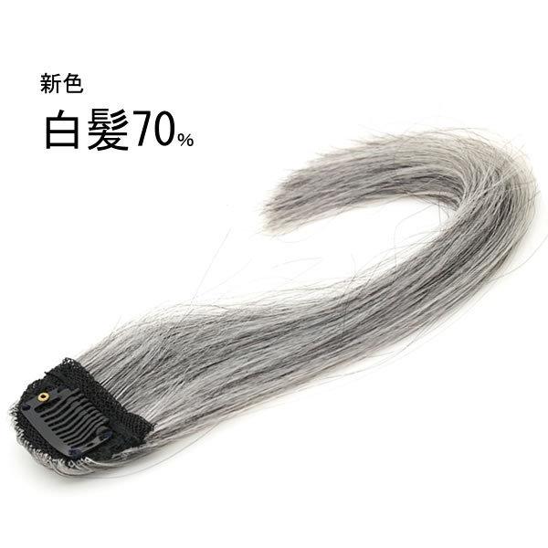 ウィッグ ヘアピース 人毛100 円形脱毛症 部分ウィッグ かつら 送料無料 メッシュ 脱毛症 しらが 白髪 白髪カバー Kz3wt50 Kz3wt50 ウイッグwig ルネス 通販 Yahoo ショッピング