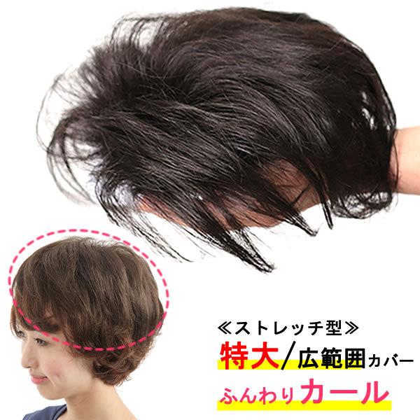 部分 ウィッグ ミセス 自然 薄毛 脱毛症 白髪隠し 増毛 分け目 つむじ 