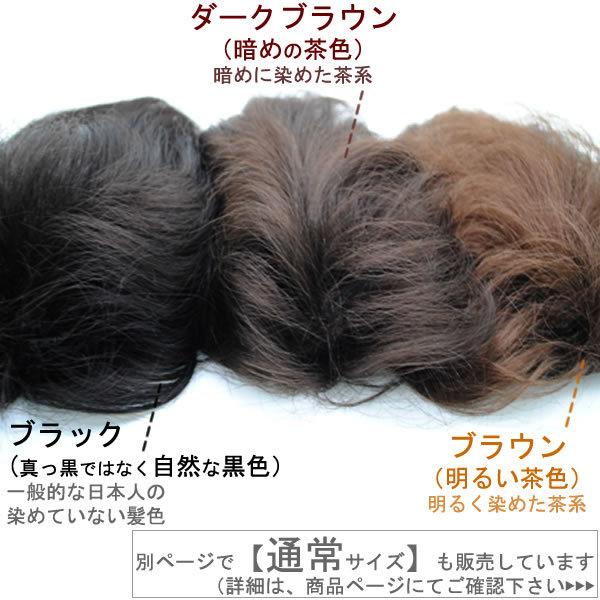 部分 ウィッグ ミセス 自然 薄毛 脱毛症 白髪隠し 増毛 分け目 つむじ ヘアピース 女性用 かつら 脱毛 リアル デイリートップ 薄毛隠し 小顔広範囲カバー sp299Lの画像