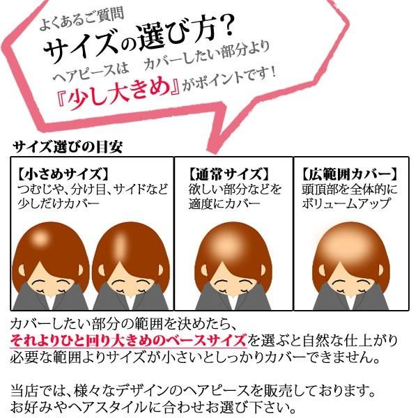 部分 ウィッグ ミセス 自然 薄毛 脱毛症 白髪隠し 増毛 分け目 つむじ ヘアピース 女性用 かつら 脱毛 リアル デイリートップ 薄毛隠し 小顔広範囲カバー sp299Lの画像