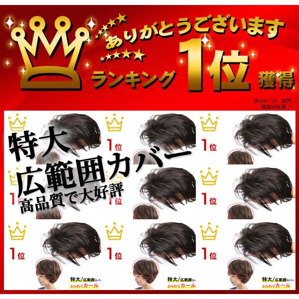 部分 ウィッグ ミセス 自然 薄毛 脱毛症 白髪隠し 増毛 分け目 つむじ ヘアピース 女性用 かつら 脱毛 リアル デイリートップ 薄毛隠し 小顔広範囲カバー sp299Lの画像