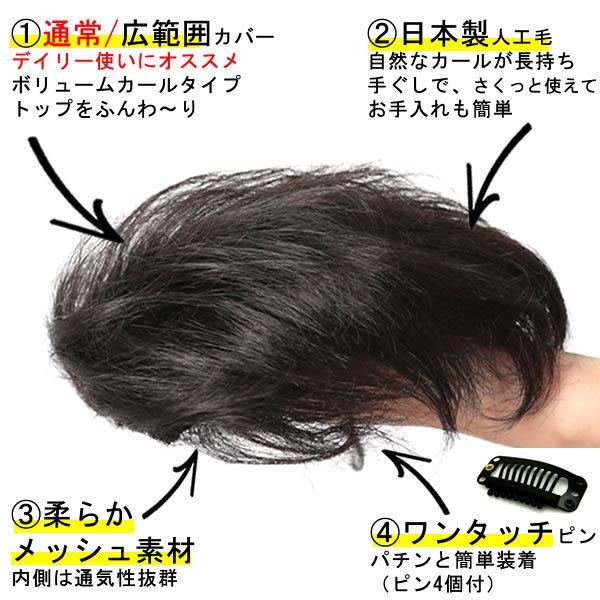 部分 ウィッグ ミセス 自然 薄毛 脱毛症 白髪隠し 増毛 分け目 つむじ ヘアピース 女性用 かつら 脱毛 リアル デイリートップ 薄毛隠し 小顔広範囲カバー sp299sの画像