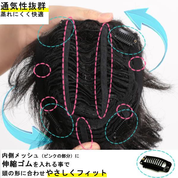 部分 ウィッグ ミセス 自然 薄毛 脱毛症 白髪隠し 増毛 分け目 つむじ ヘアピース 女性用 かつら 脱毛 リアル デイリートップ 薄毛隠し 小顔広範囲カバー sp299sの画像