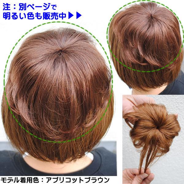ヘアピース 円形脱毛症 部分ウィッグ ポイントウィッグ 増毛 人気 