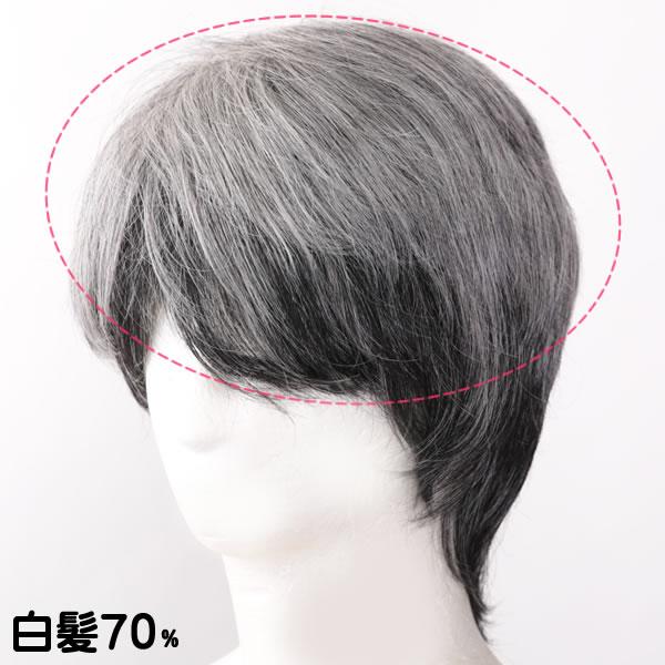 ウィッグ 白髪 薄毛隠し 女性 男性 人毛 しらが 円形脱毛症 部分ウィッグ ポイントウィッグ 増毛 人気 つむじカバー グレーヘアー七分丈ウィッグ wig-sp301 ウィッグ 白髪 薄毛隠し 女性 男性 人毛 しらが 円形脱毛症 部分