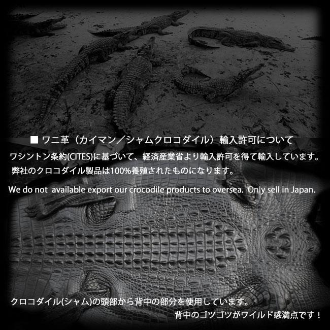 クロコダイル クラッチバッグ　セカンドバッグ ハンドバッグ マルチケース ブラウン メンズ 茶色 男性 おしゃれ かばん (ID ha4567r73)の画像