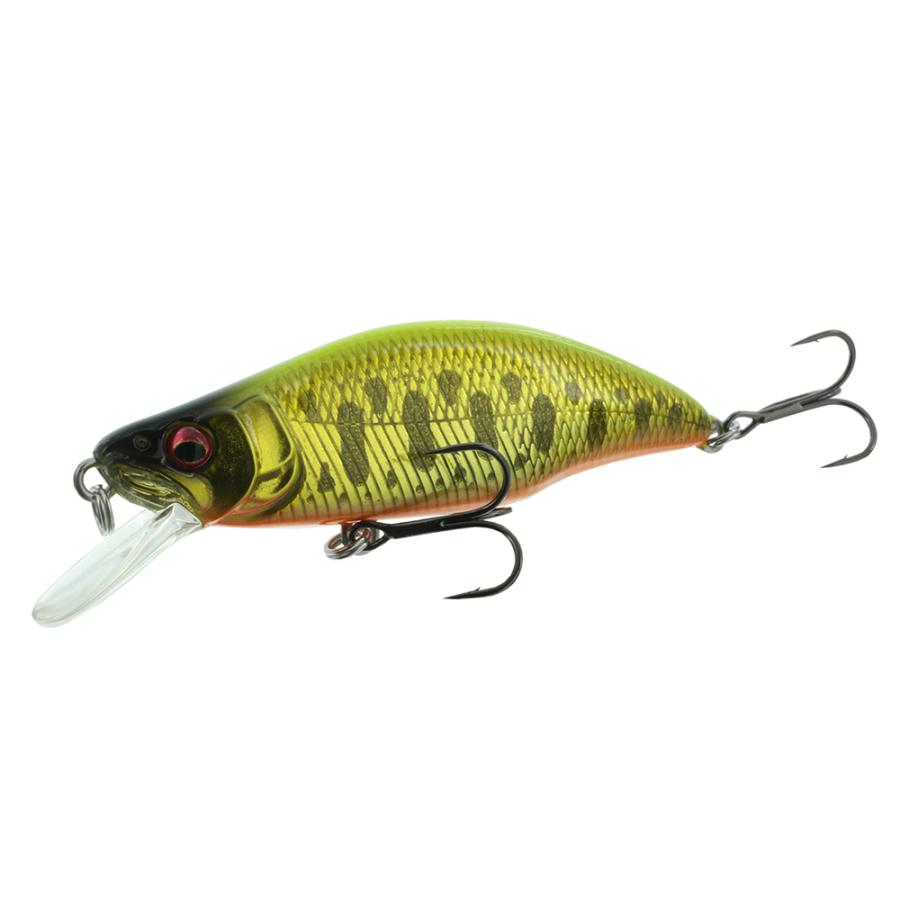 Megabass（メガバス） 【ジョインター別注カラー】メガバス GH51