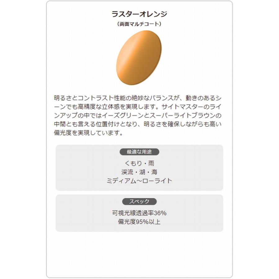 サイトマスター クラシコプラスブラック 【レンズカラー：ラスター