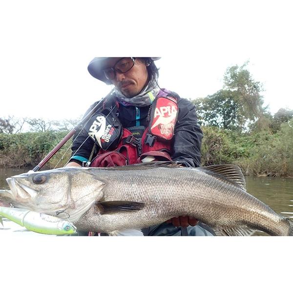 Fishman フィッシュマン BRIST comodo 6.10XH ブリスト コモド 6.10XH