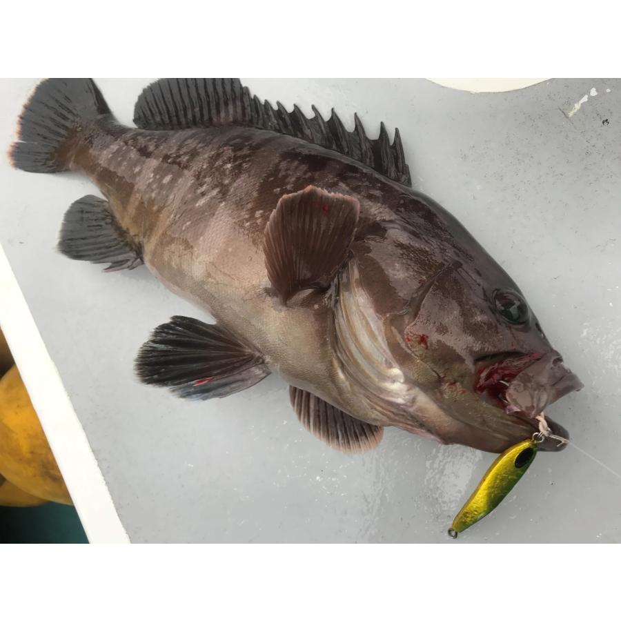 NatureBoys ネイチャーボーイズ TG Rider/TGライダー60g【ブルー