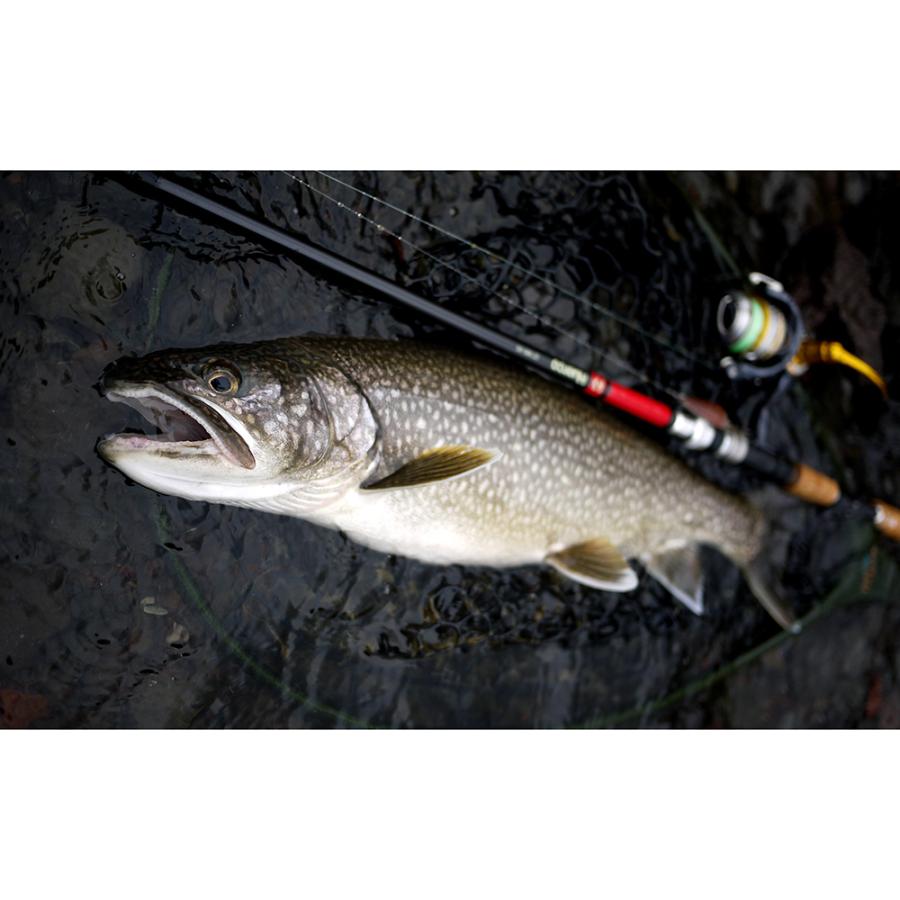 Huerco（フエルコ） GT906-6S【スピニングモデル / 6pcs】（Huerco