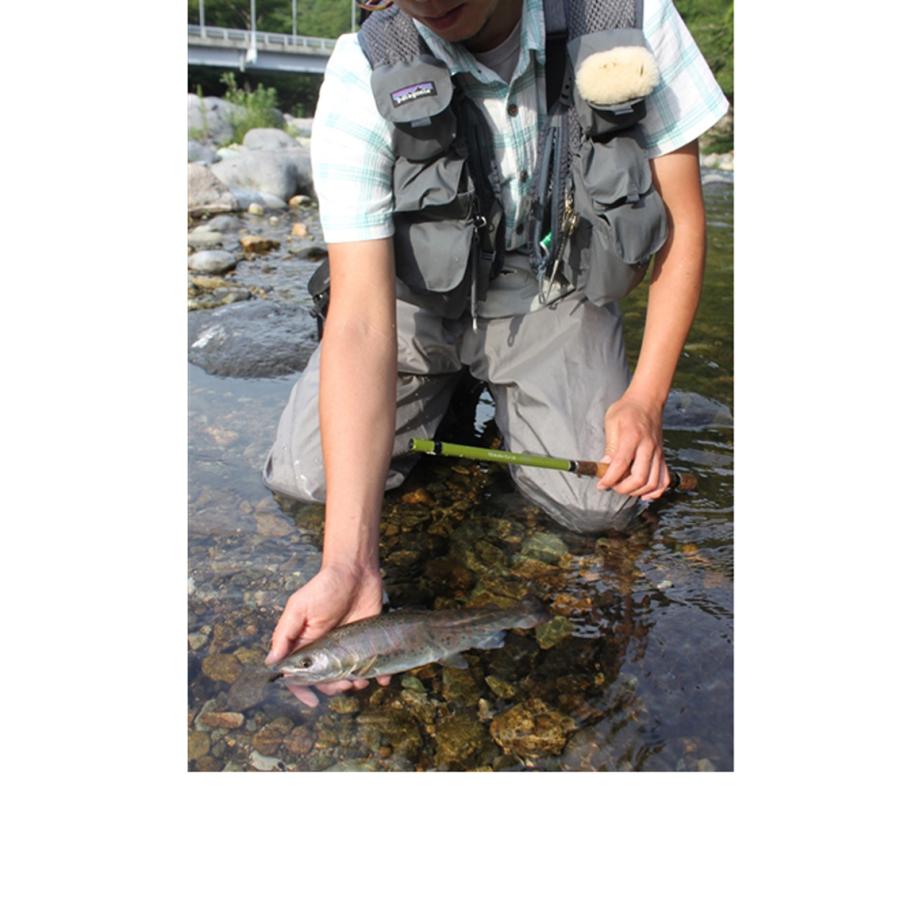 ジョインター テンカラフライ33 ロットケース付き ジョインター テンカラフライ33 ロットケース付き - メルカリ