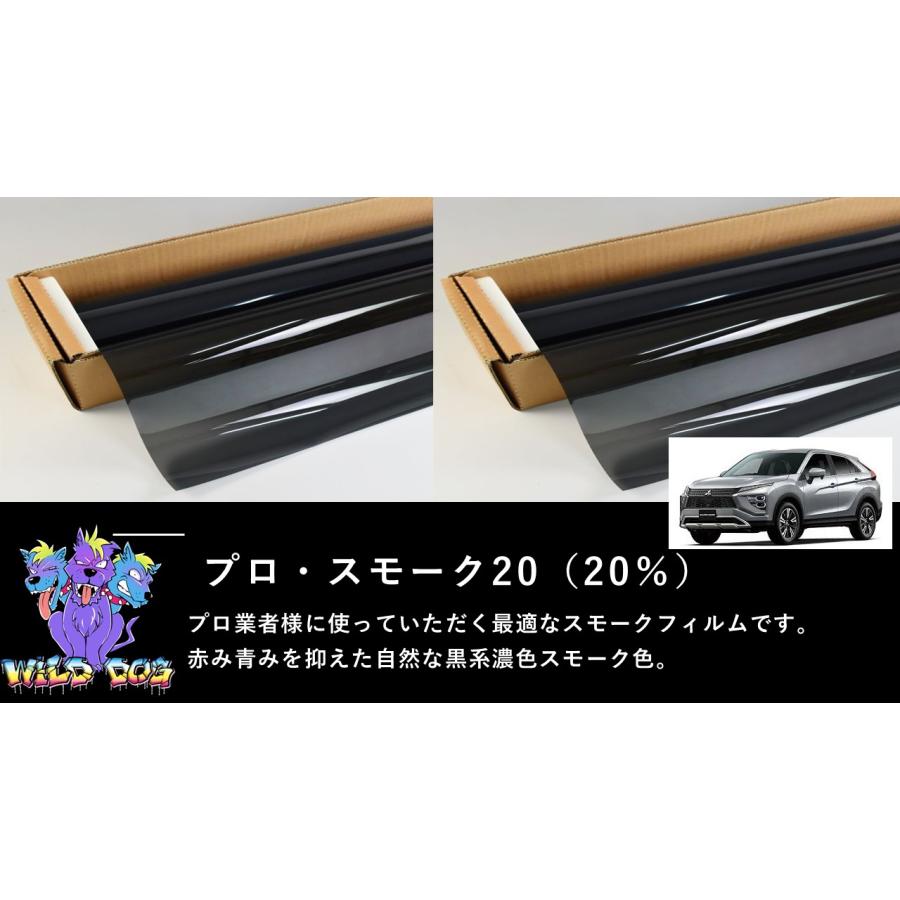 BRAINTEC（ブレインテック） プロ・スモーク20 エクリプスクロス GK1W 