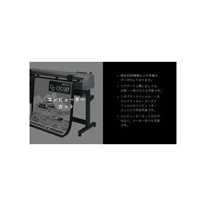 BRAINTEC（ブレインテック） ゼノン2ゴーストEvo AR84 VW T-クロス