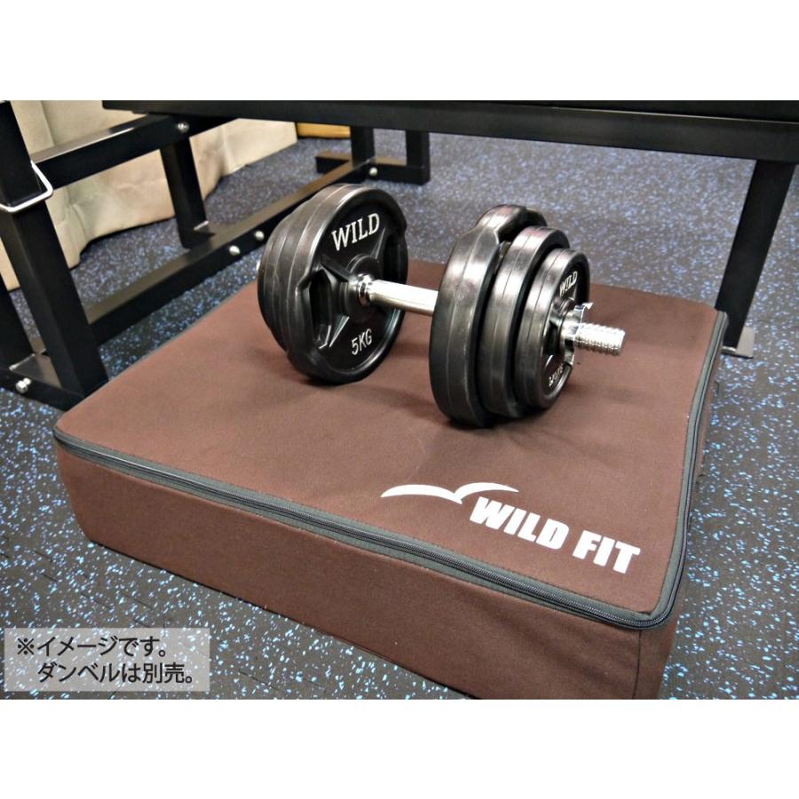 WILD FIT（ワイルドフィット） ダンベルクッション 2個セット / マット 