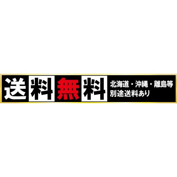 自宅トレ　全てセットです！グラビティブーツも含む WILD FIT（ワイルドフィット） グラビティブーツ / 筋トレ 姿勢矯正