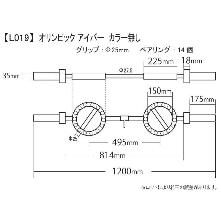 オリンピック アイバー カラー無し / 筋トレ トレーニング器具 ダンベル バーベル ベンチプレス EYEバー アームカール プリチャーカール EZバー｜wildfit｜03