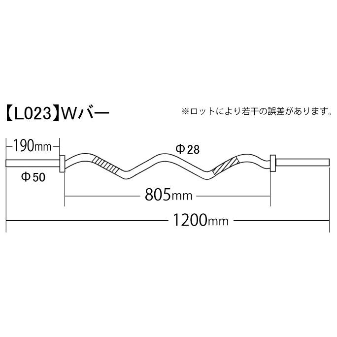 WILD FIT ワイルドフィット オリンピック Wバー (ベアリング WILD FIT ワイルドフィット オリンピック Wバー (ベアリング