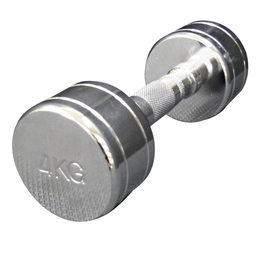 WILD FIT（ワイルドフィット） 固定式クローム4kg / ダンベル 4kg