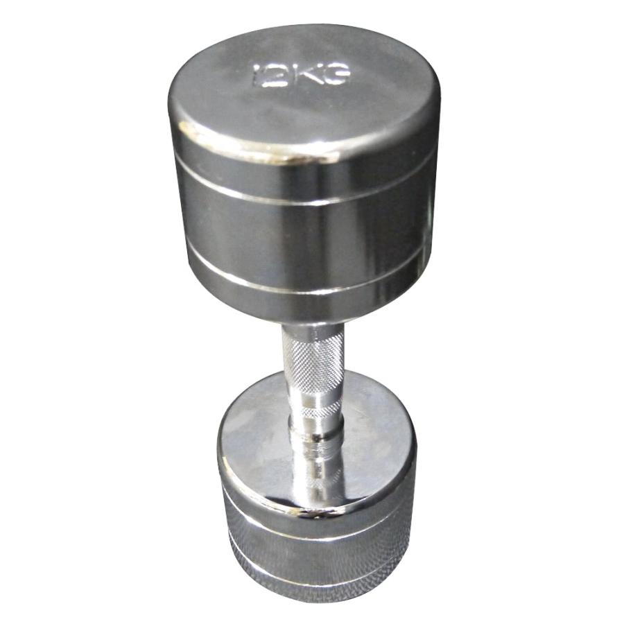 WILD FIT（ワイルドフィット） 固定式クローム12kg / 筋トレ ダンベル