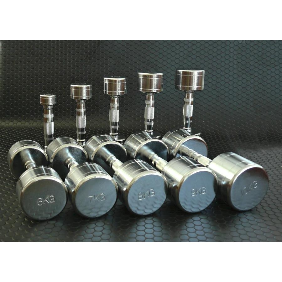 WILD FIT（ワイルドフィット） 固定式クローム12kg / 筋トレ ダンベル