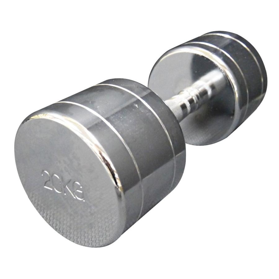 人気ショップが最安値挑戦 いつでも気軽にトレーニング ワイルドフィット Fit Wild 固定式クロームkg ウエイトトレーニング