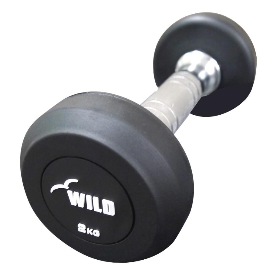 WILD FIT 10KG ダンベルプレート 2個セット WILD FIT（ワイルドフィット） 固定式 ダンベル 10kg WF 2本セット