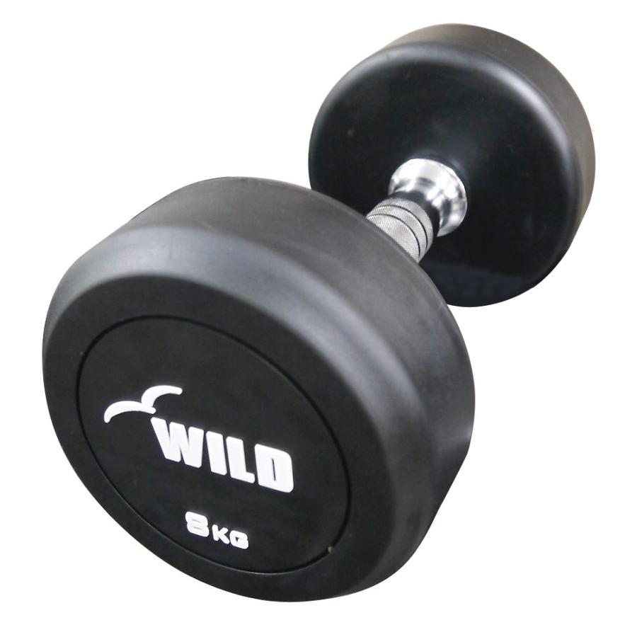 WILD FIT（ワイルドフィット） 固定式 ダンベル 8kg WF 2本セット