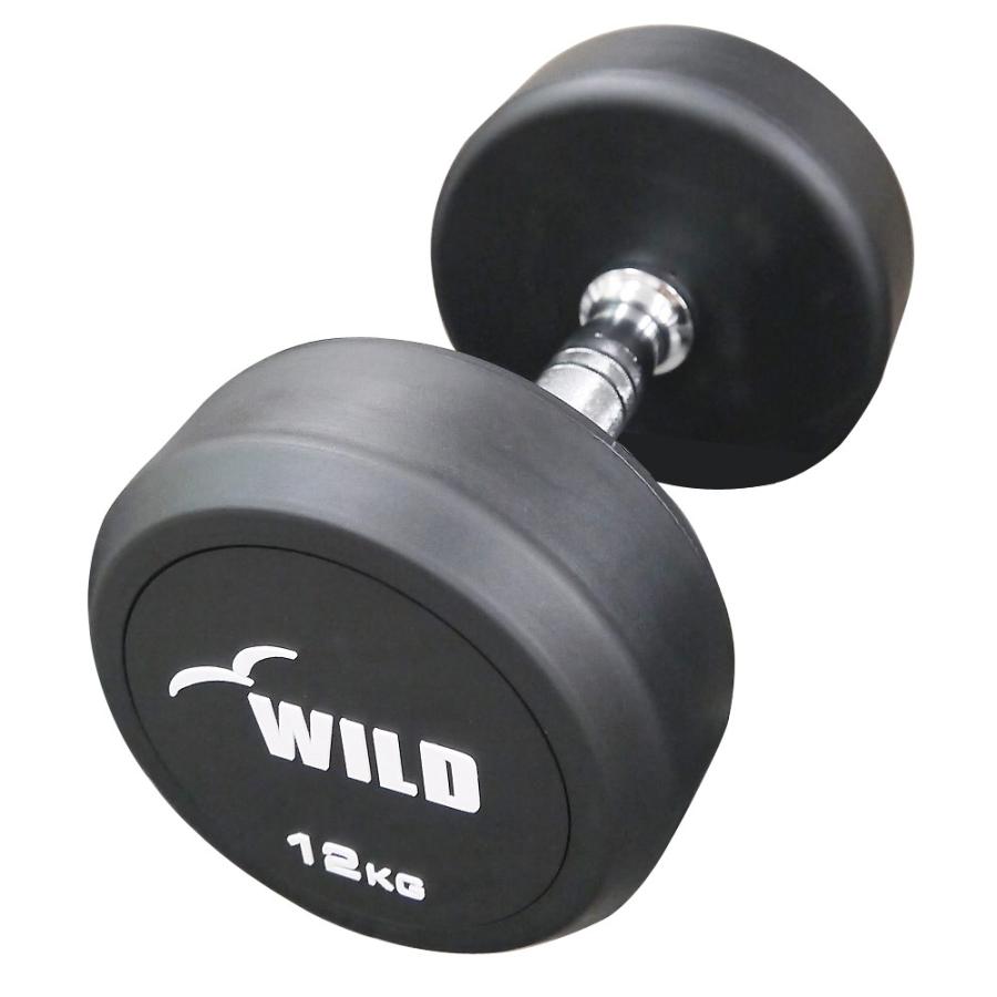 WILD FIT（ワイルドフィット） 固定式 ダンベル 12kg WF 2本セット