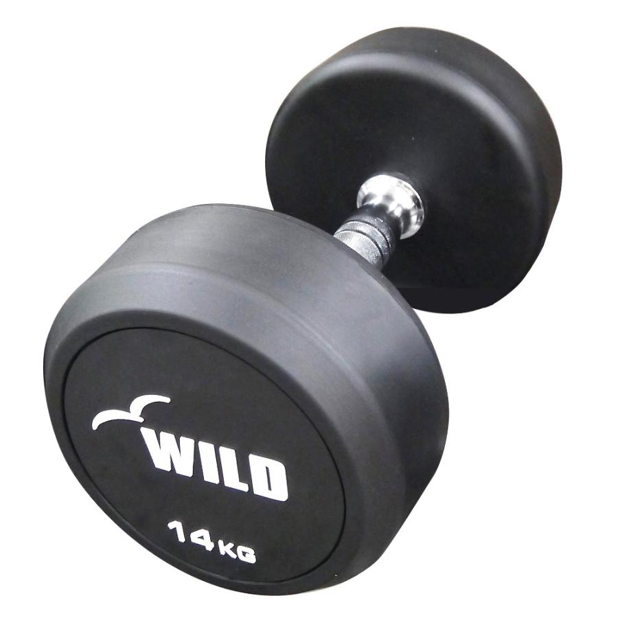 WILD FIT 固定式 ダンベル 14kg WF / ラバー ジムダンベル 筋
