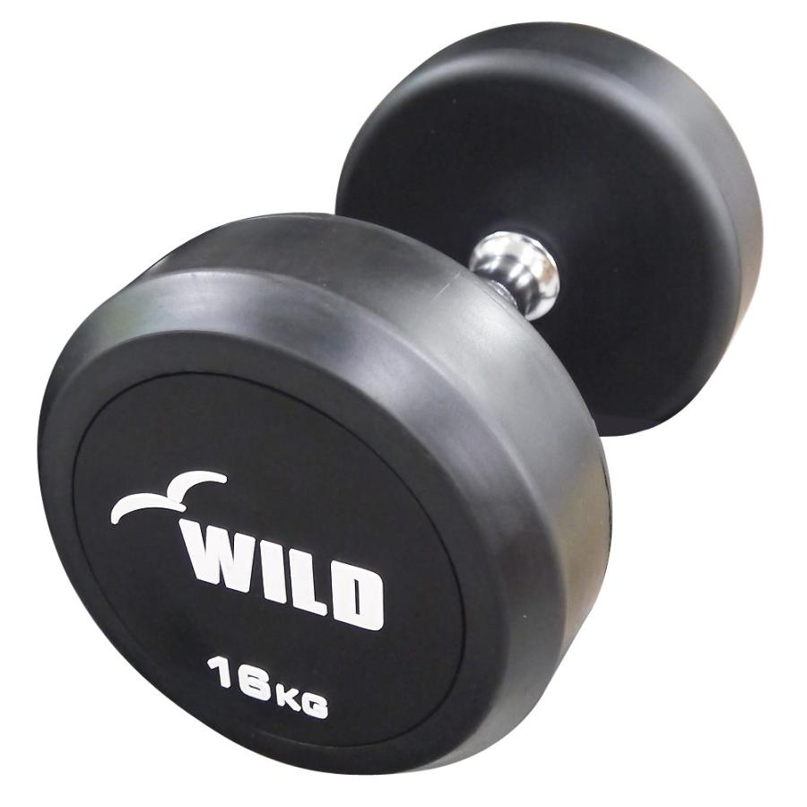 WILD FIT（ワイルドフィット） 固定式 ダンベル 16kg WF 2本セット