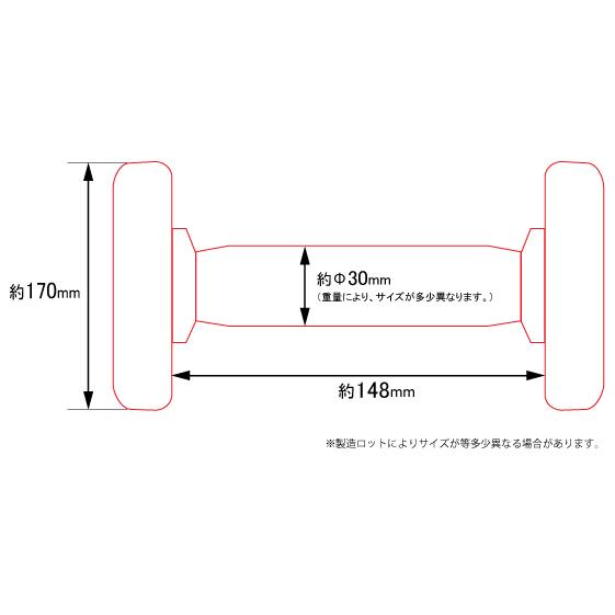 固定式 ダンベル 18kg WF / WILD FIT ワイルドフィット ジムダンベル 筋トレ トレーニング器具｜wildfit｜03