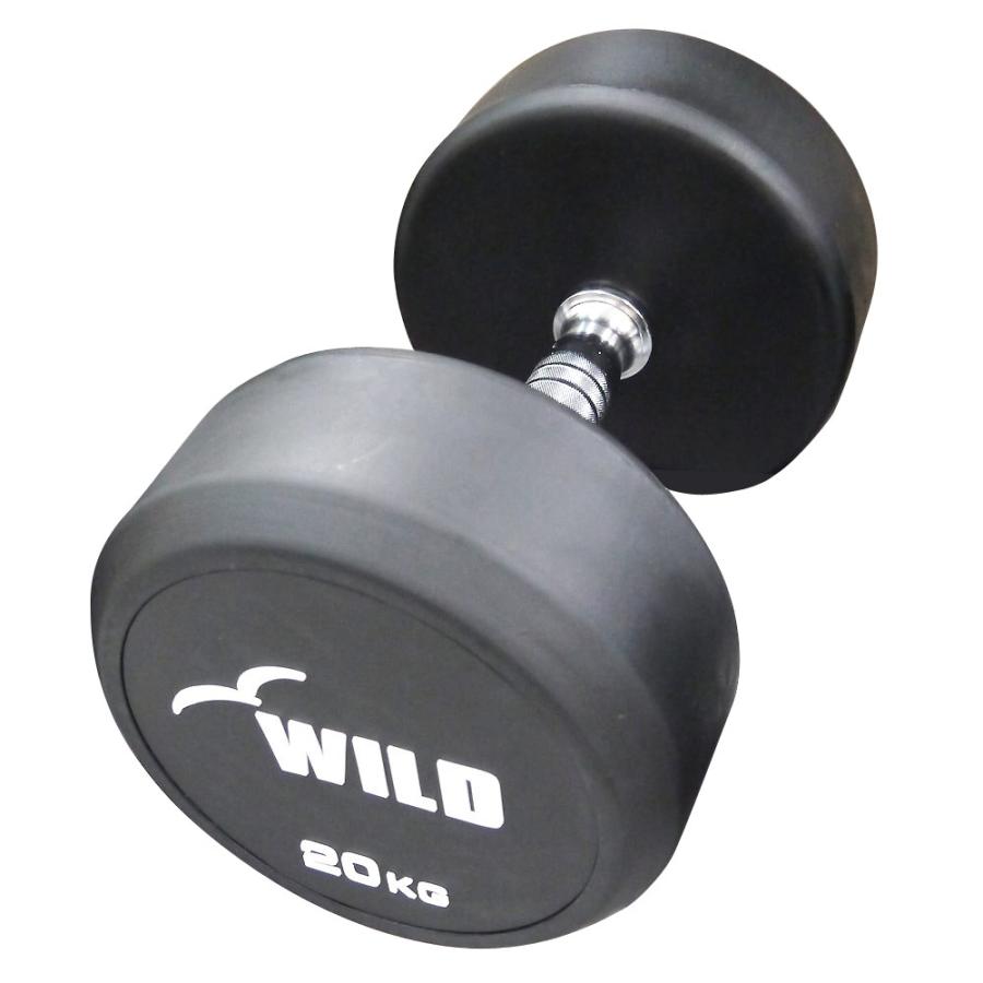 WILD FIT（ワイルドフィット） 固定式 ダンベル 20kg WF 2本セット