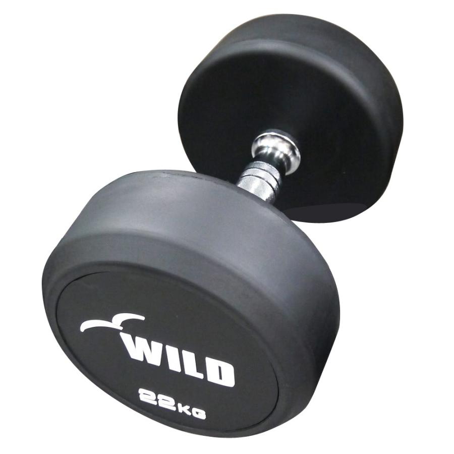 WILD 22kg ダンベル　状態良い　最安値2 WILD FIT（ワイルドフィット） 固定式 ダンベル 22kg WF 2本セット