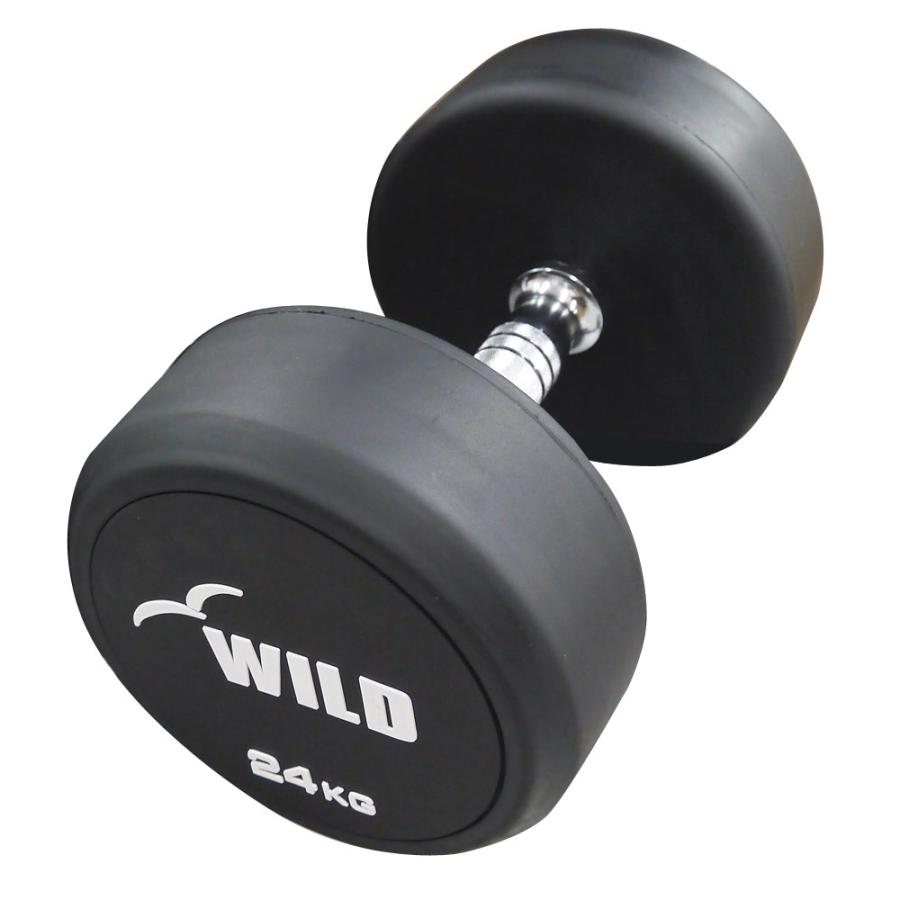 固定式 ダンベル 24kg WF / WILD FIT ワイルドフィット ジムダンベル 筋トレ トレーニング器具｜wildfit