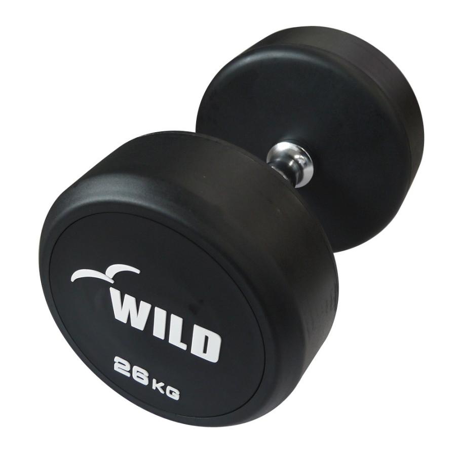 WILD FIT（ワイルドフィット） 固定式 ダンベル 26kg WF 2本セット