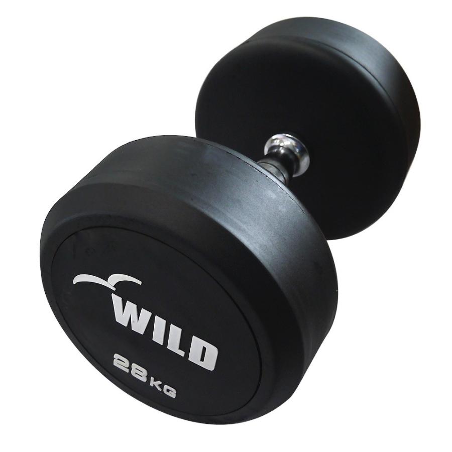 WILD FIT（ワイルドフィット） 固定式 ダンベル 28kg WF 2本セット