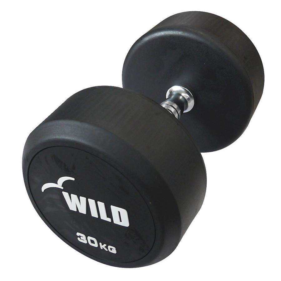 WILD FIT（ワイルドフィット） 固定式 ダンベル 30kg WF 2本セット