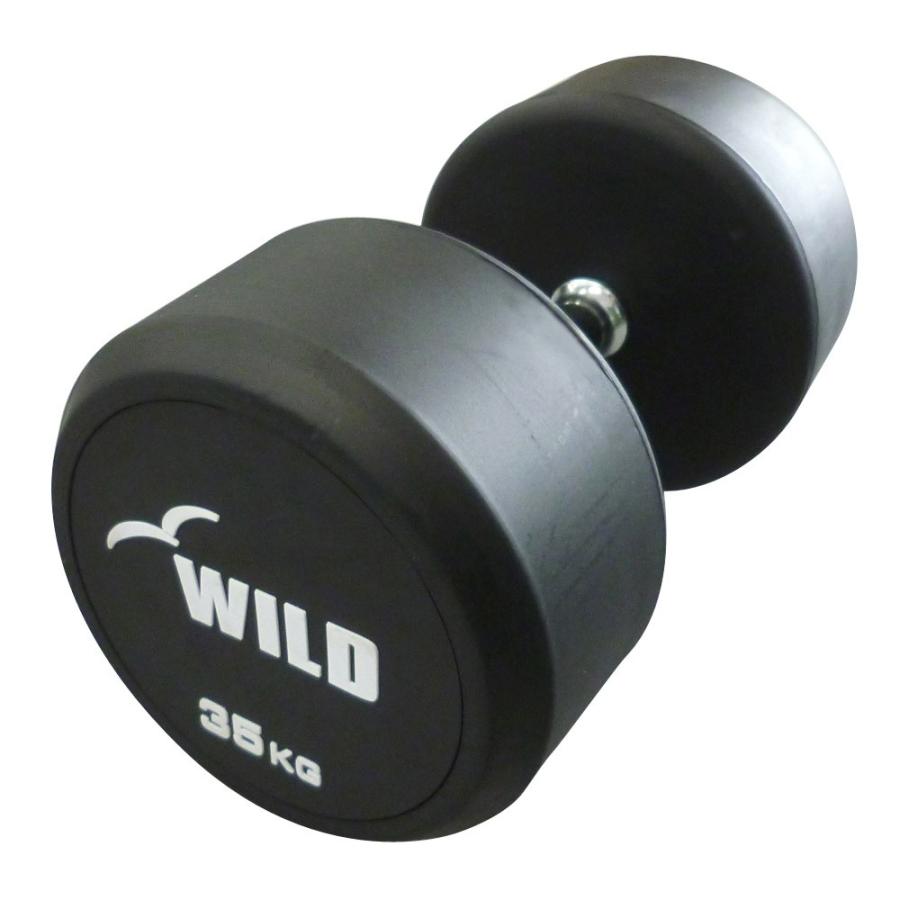 WILD FIT（ワイルドフィット） 固定式 ダンベル 35kg WF 2本セット