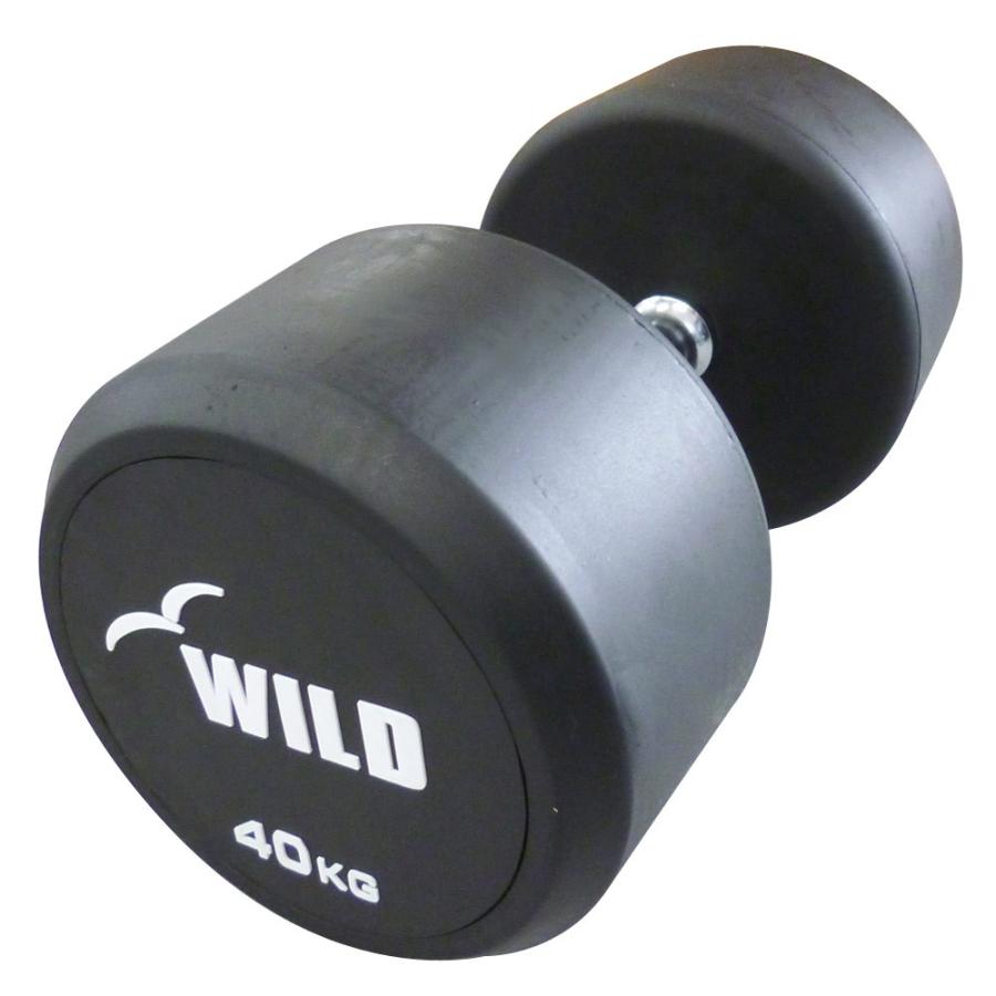 WILD FIT 固定式 ダンベル 40kg WF / 鉄アレイ ラバー ジム WILD FIT 固定式 ダンベル 40kg WF / 鉄アレイ ラバー ジム