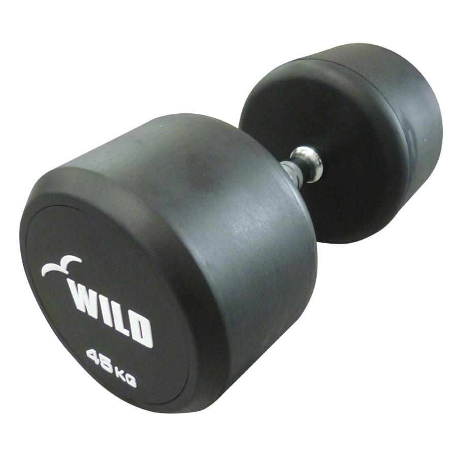 WILD FIT（ワイルドフィット） 固定式 ダンベル 45kg WF 2本セット