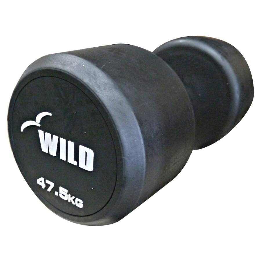 WILD FIT（ワイルドフィット） 固定式 ダンベル 47.5kg WF 2本セット