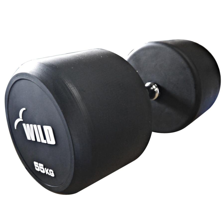 WILD FIT（ワイルドフィット） 固定式 ダンベル 55kg WF 2本セット