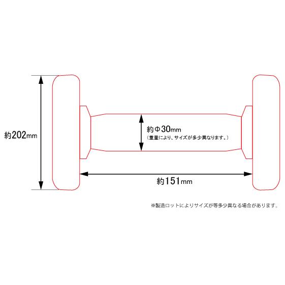 WILD FIT（ワイルドフィット） 固定式 ダンベル 55kg WF 2本セット